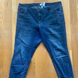 Lane Bryant beaded Jeans